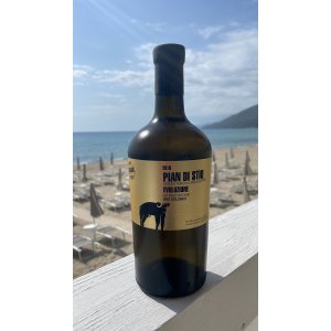 Evoluzione Pian di stio